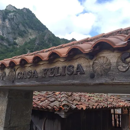 Casa Felisa * Pola de Somiedo